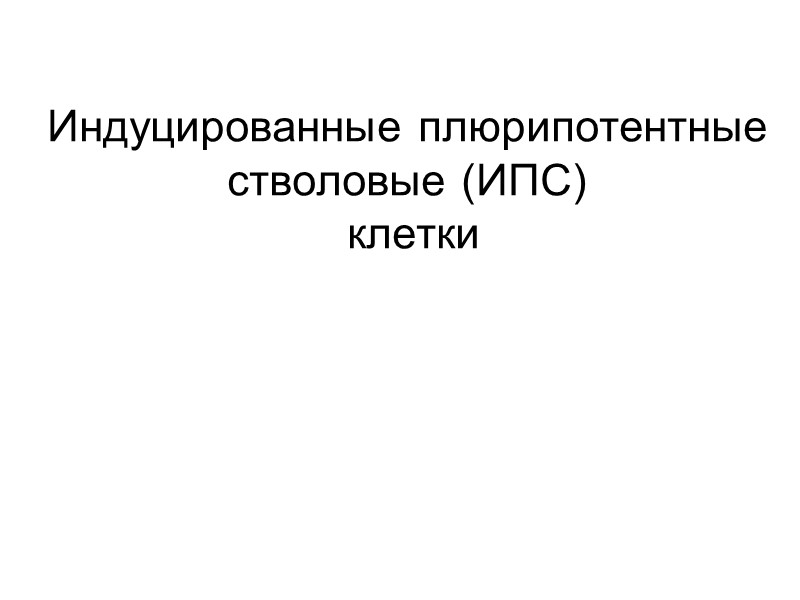 Индуцированные плюрипотентные стволовые (ИПС)  клетки